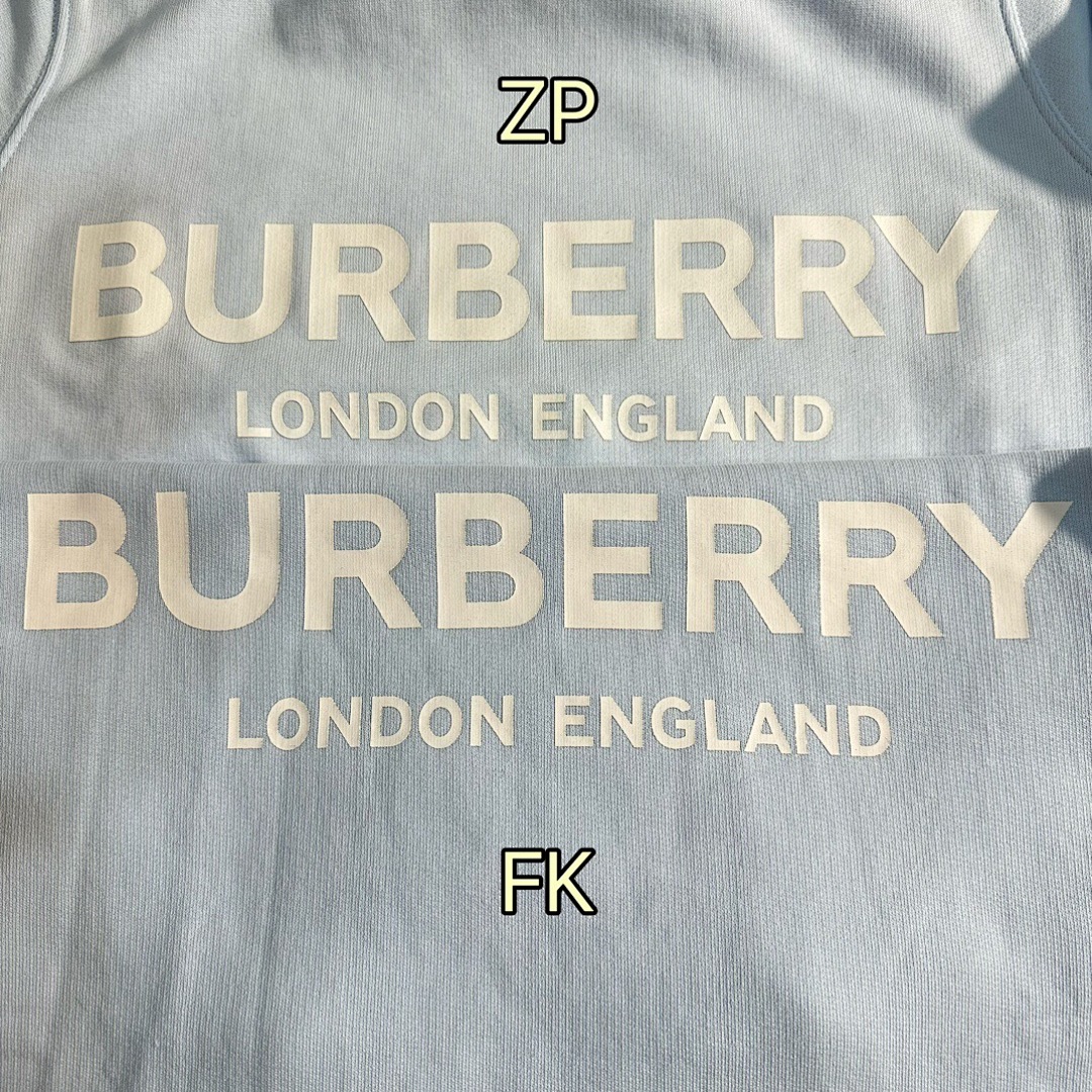 Burberry BR Print Collar - Image 7