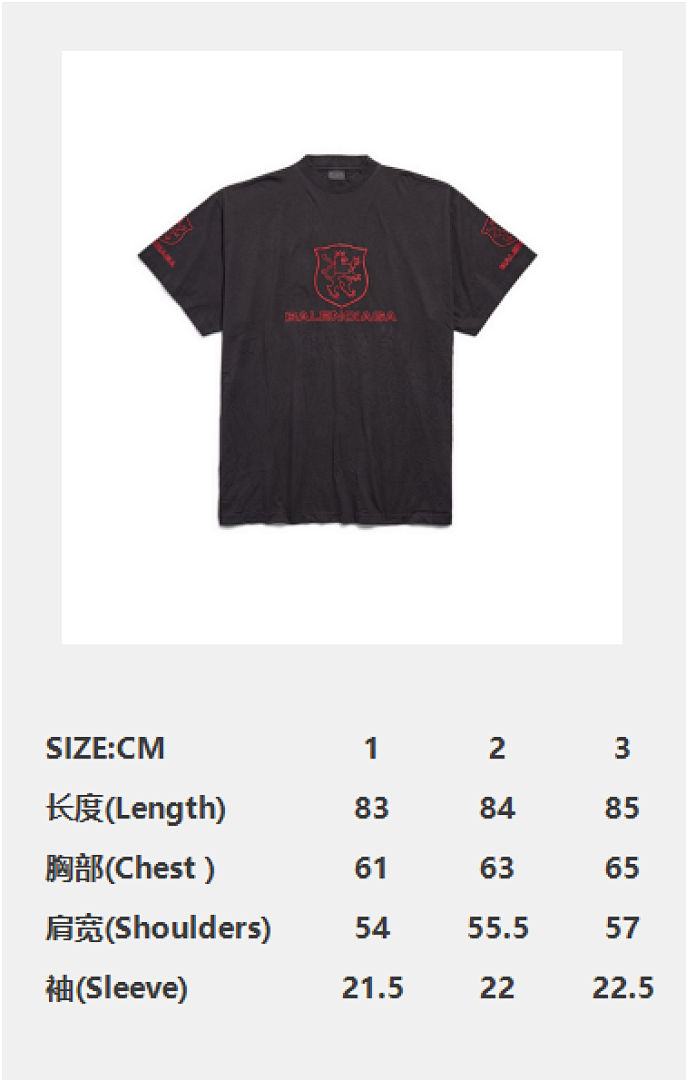 Balenciaga Embroidered Short Sleeve - Image 4