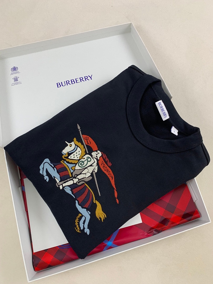 Burberry BR Color Stitching Embroidered Collar - Image 7