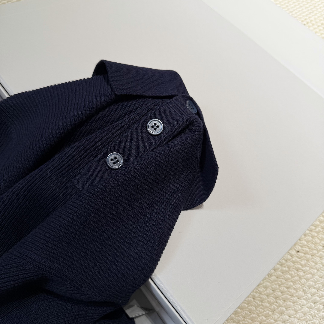 Ralph Lauren Navy Solid POLO - Image 12