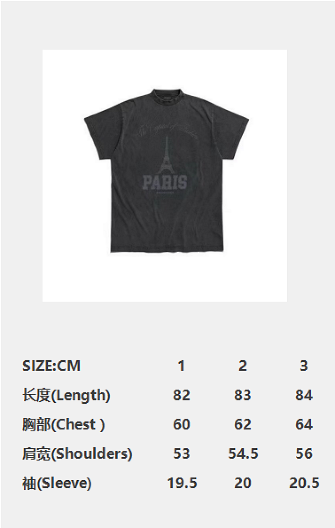 Balenciaga Iron Short Sleeve - Image 5