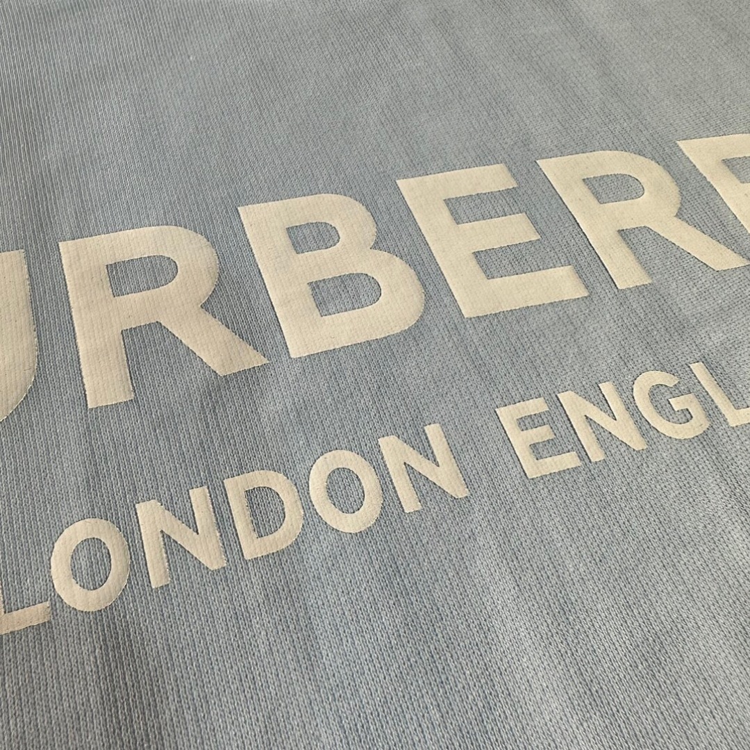 Burberry BR Print Collar - Image 6