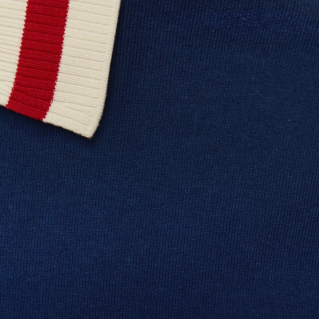 Ralph Lauren G Striped Polo Collar (Blue) - Image 2