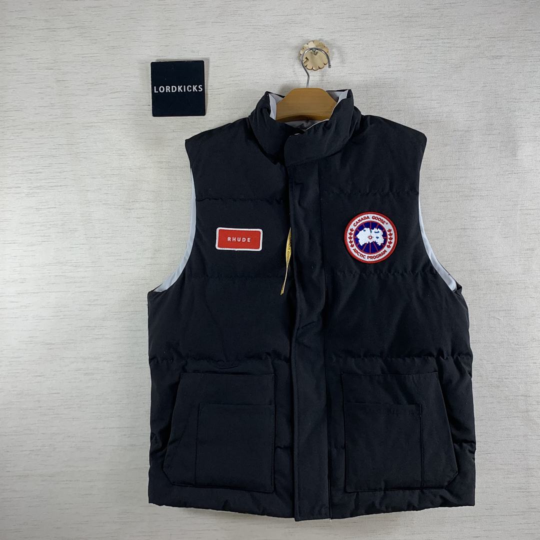 DE187 Canada Goose, photo 1