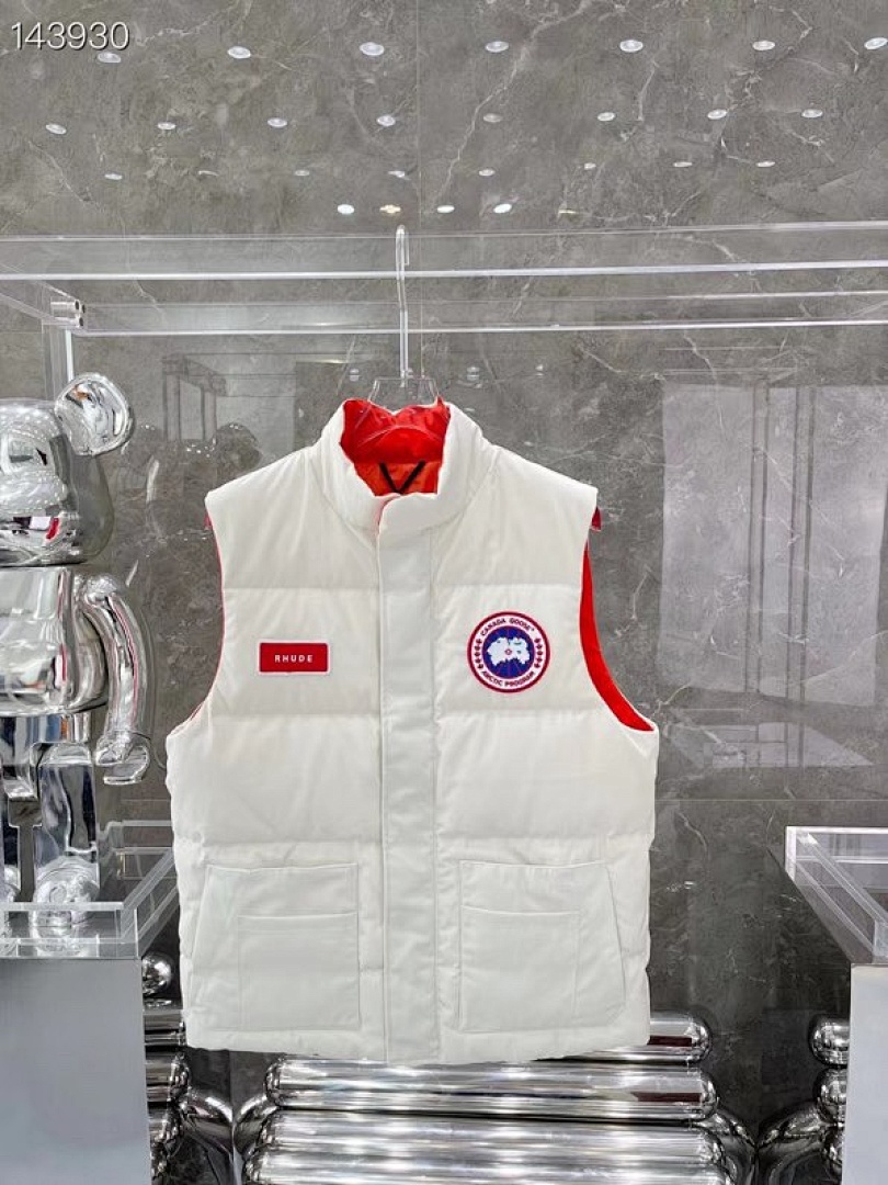 DE186 Canada Goose, photo 1