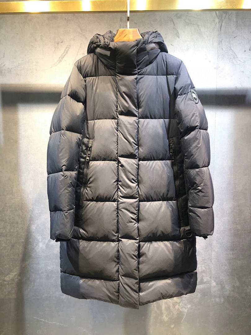 DE221 Canada Goose, photo 1