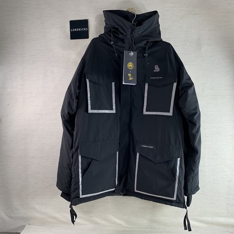 DE20 Canada Goose, photo 1