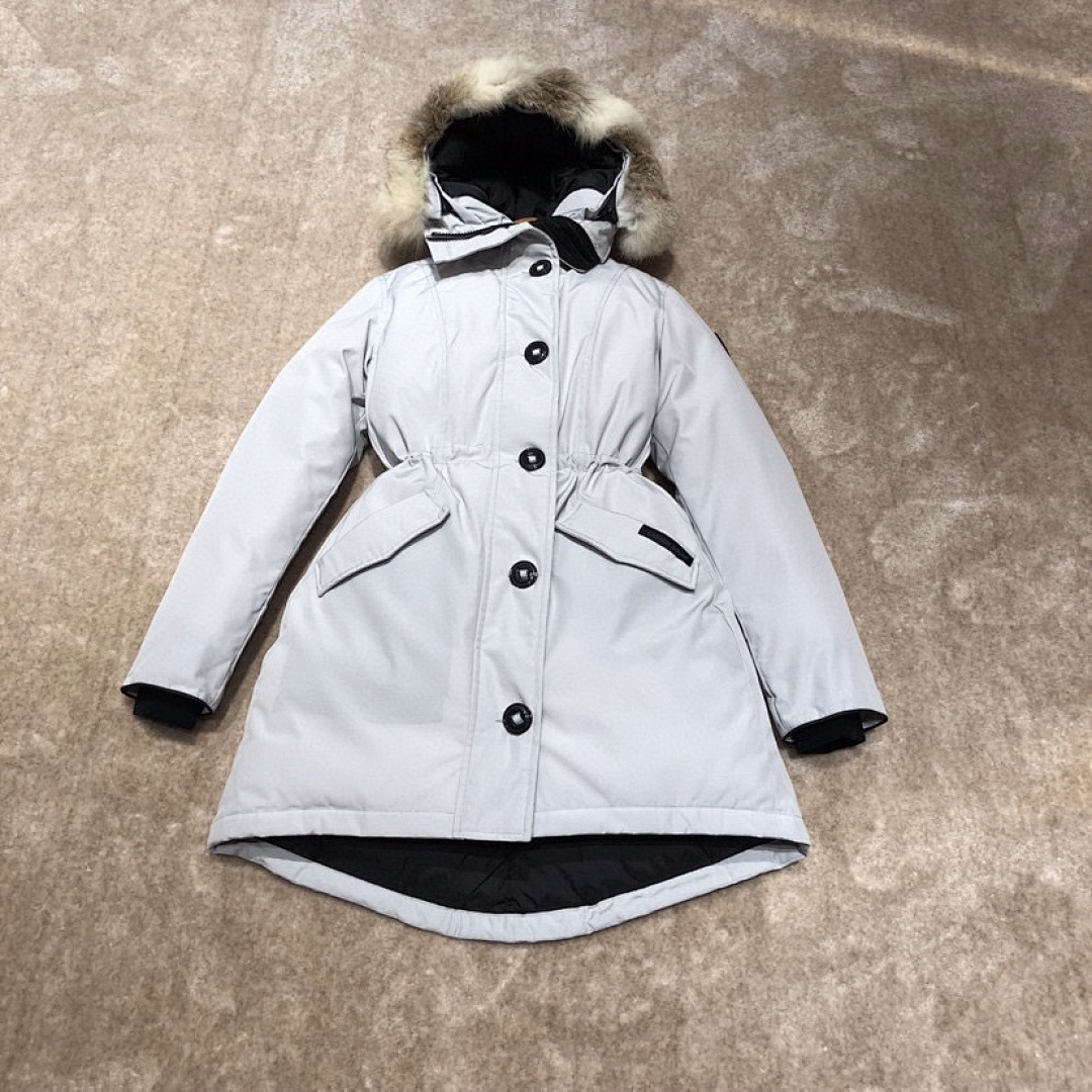 DE135 Canada Goose, photo 1