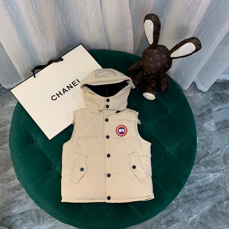 DE246 Canada Goose, photo 1