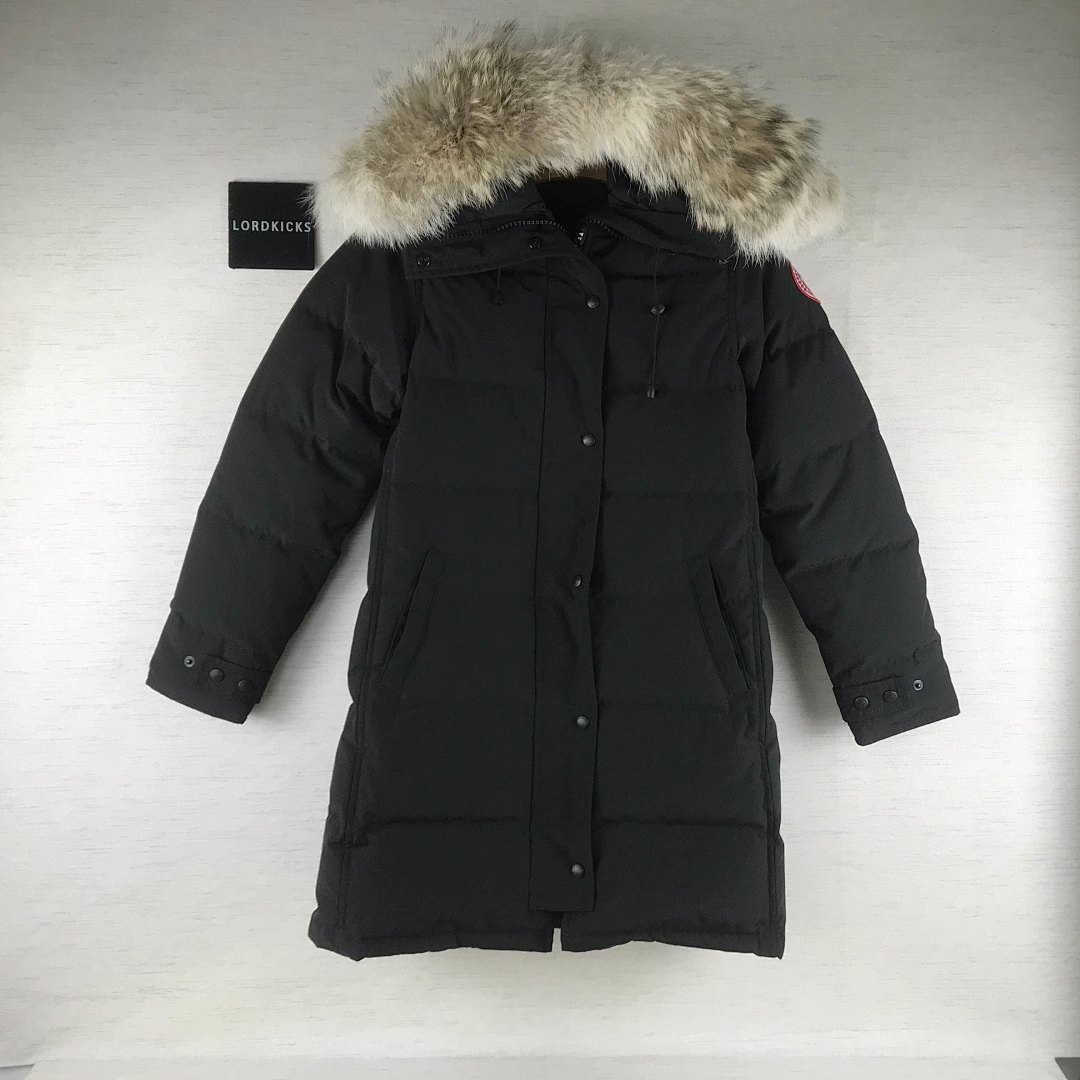 DE90 Canada Goose, photo 1