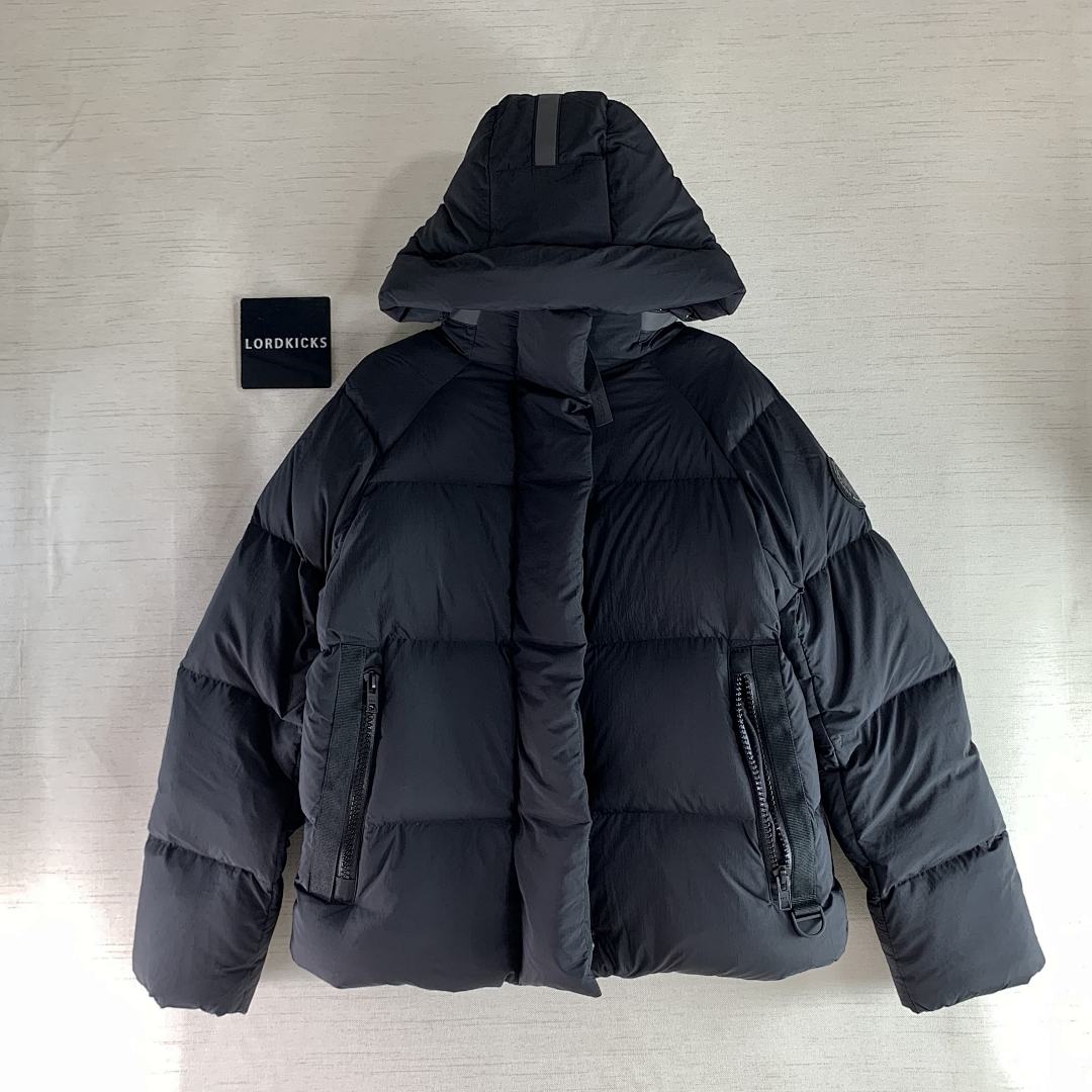 DE196 Canada Goose, photo 1