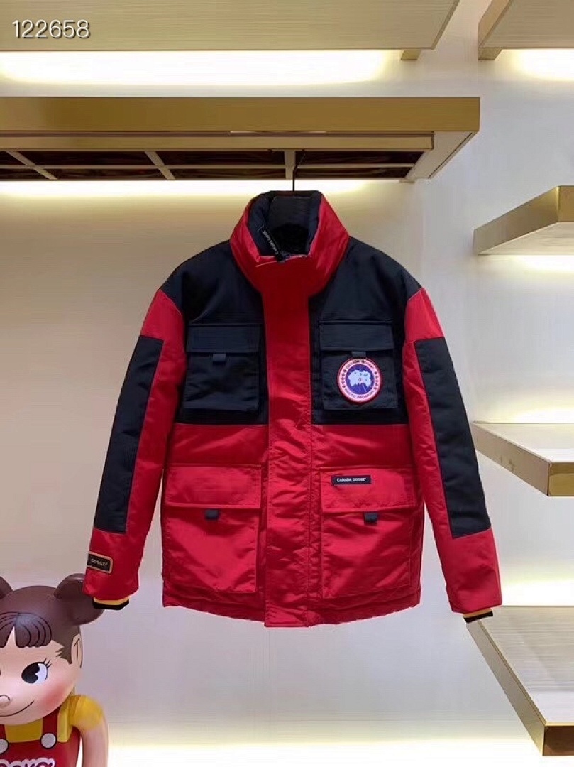 DE65 Canada Goose, photo 1