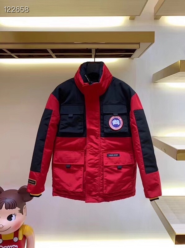 DE65 Canada Goose, photo 1