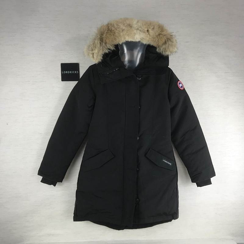 DE105 Canada Goose, photo 1