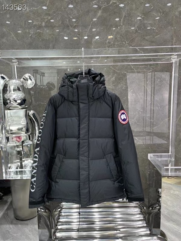 DE210 Canada Goose, photo 1