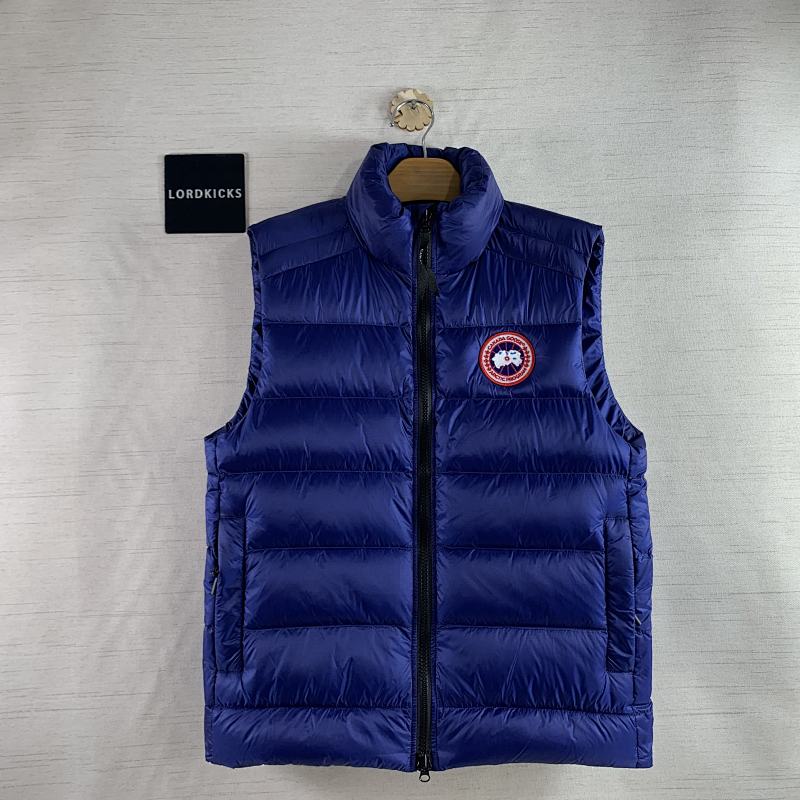 DE151 Canada Goose, photo 1