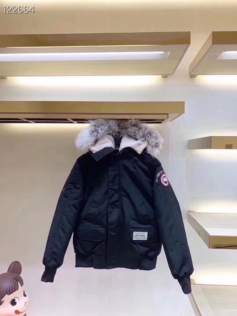 DE62 Canada Goose, photo 1