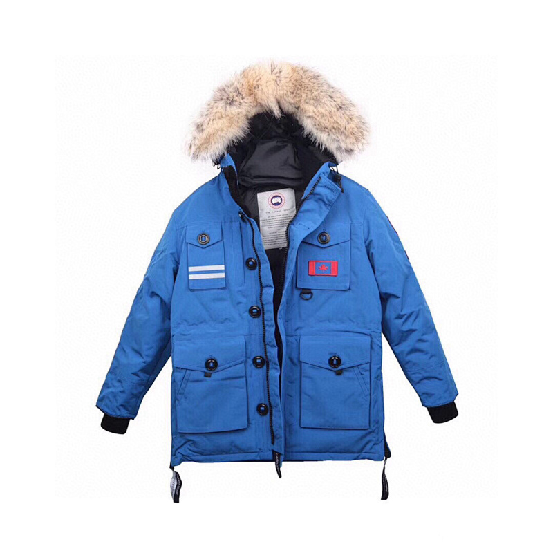 DE230 Canada Goose, photo 1