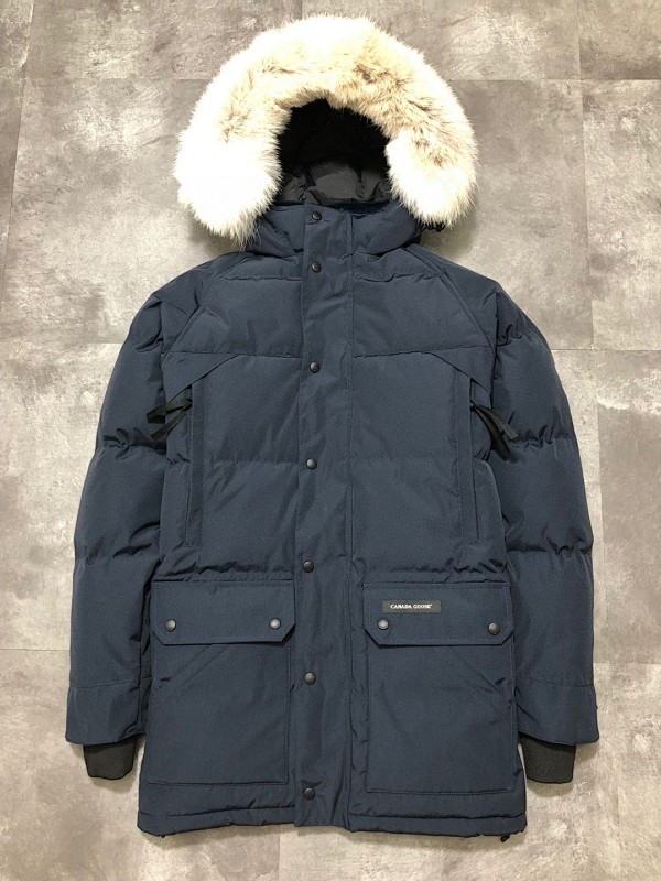 DE176 Canada Goose, photo 1