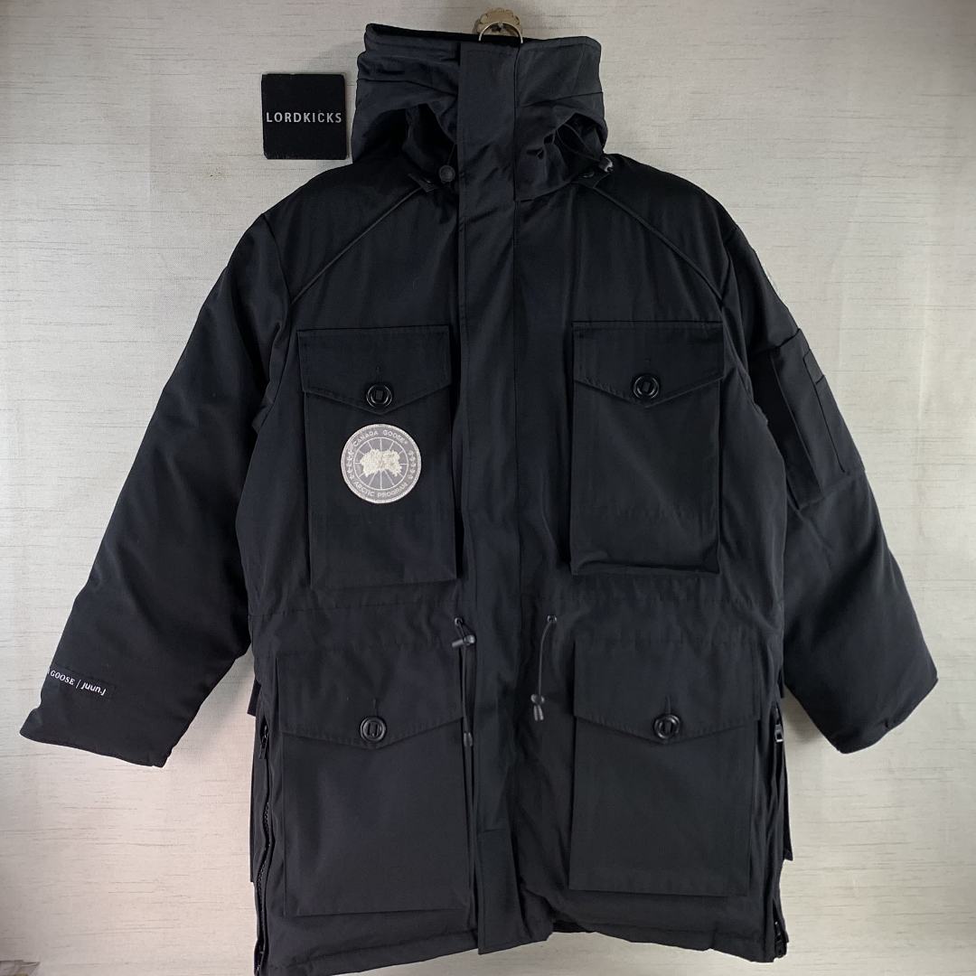 DE25 Canada Goose, photo 1