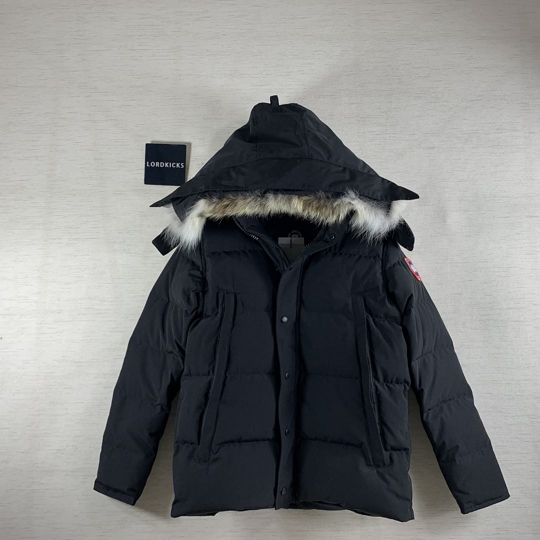 DE167 Canada Goose, photo 1