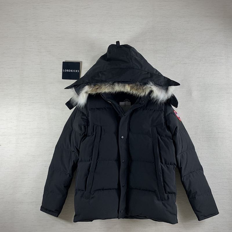DE167 Canada Goose, photo 1