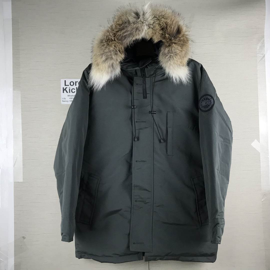 DE84 Canada Goose, photo 1