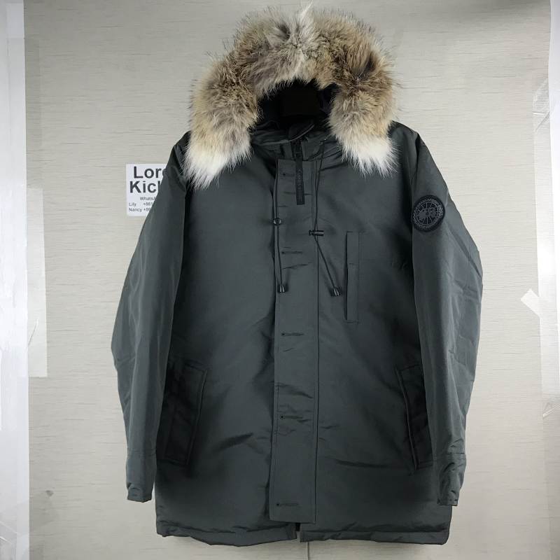 DE84 Canada Goose, photo 1