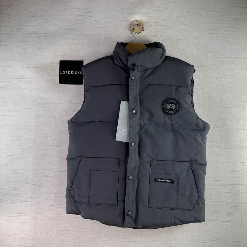 DE185 Canada Goose, photo 1