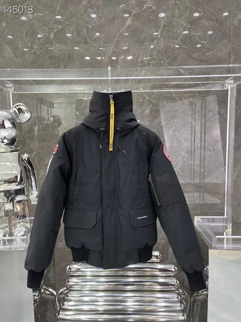 DE192 Canada Goose, photo 1