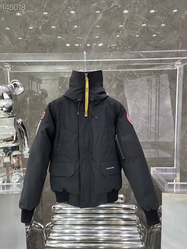DE192 Canada Goose, photo 1