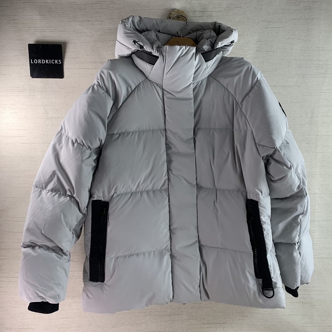 DE196 Canada Goose, photo 1