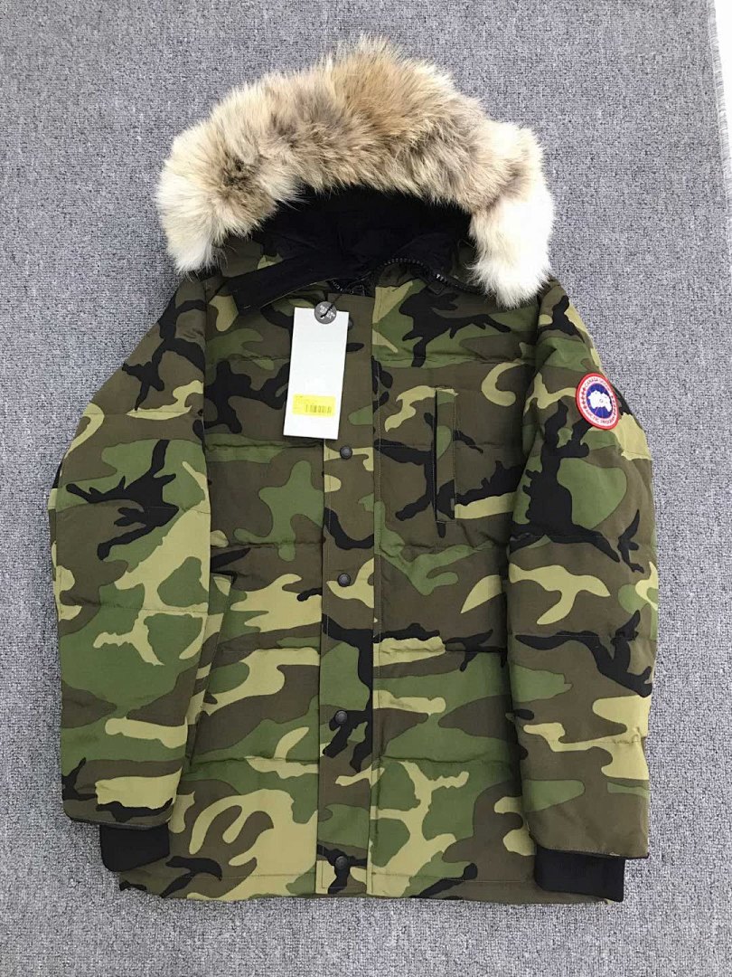 DE174 Canada Goose, photo 1