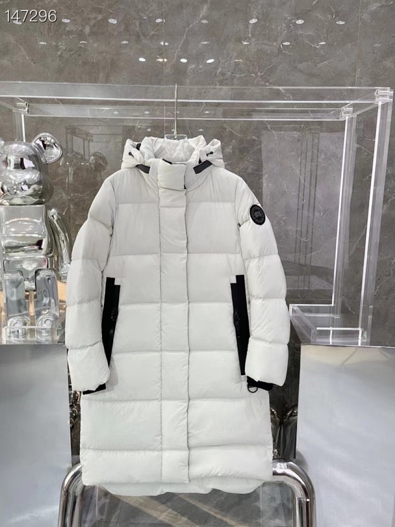 DE259 Canada Goose, photo 1