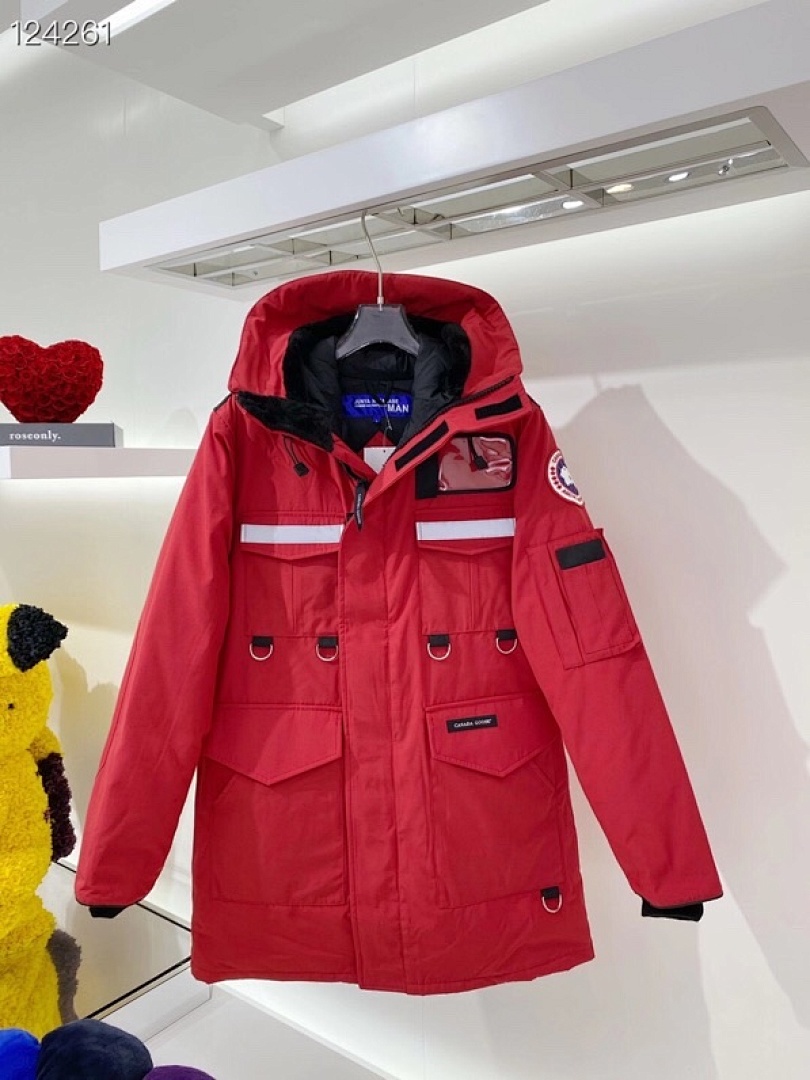DE44 Canada Goose, photo 1