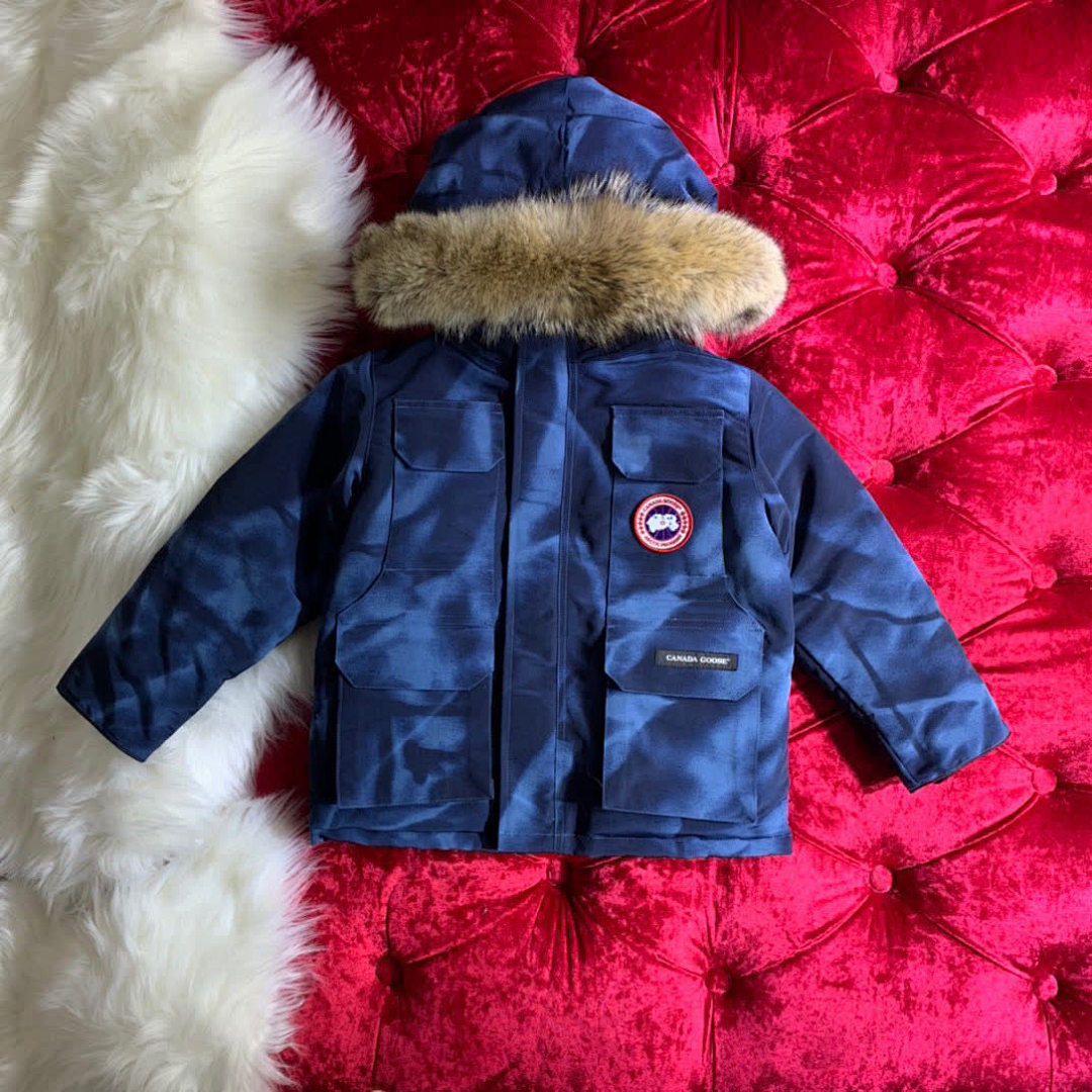 DE241 Canada Goose, photo 1