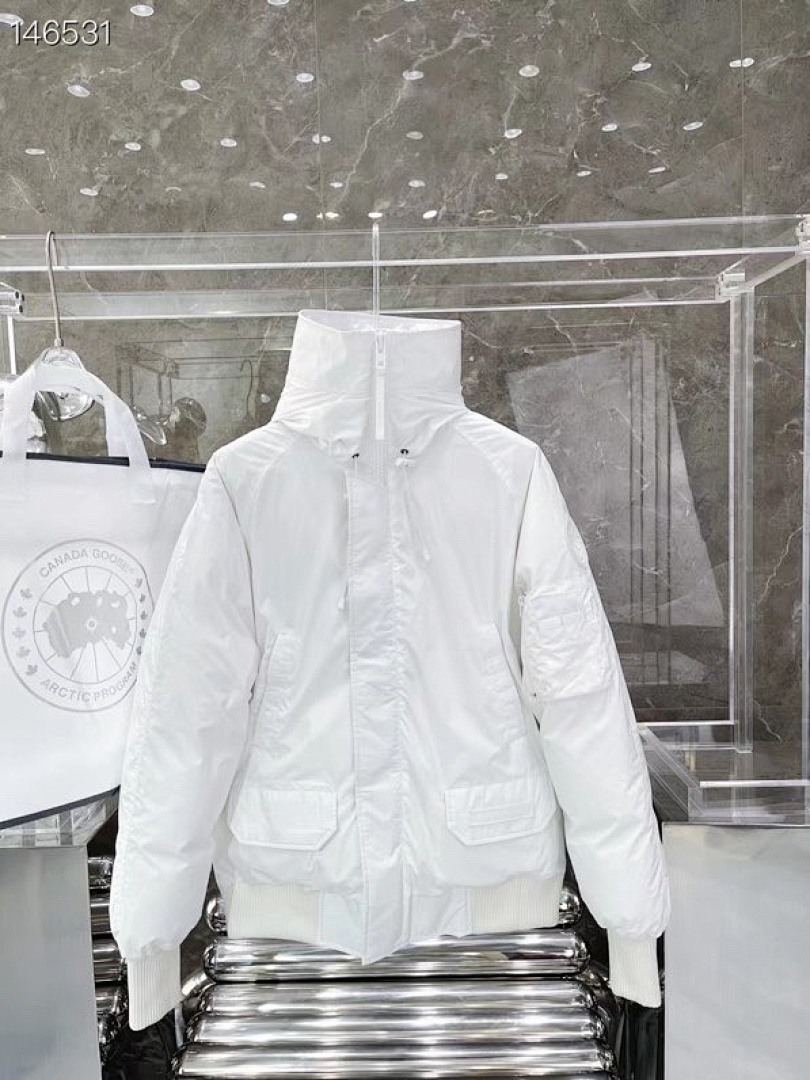 DE264 Canada Goose, photo 1