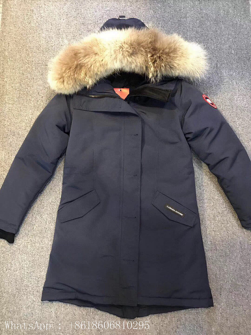 DE118 Canada Goose, photo 1