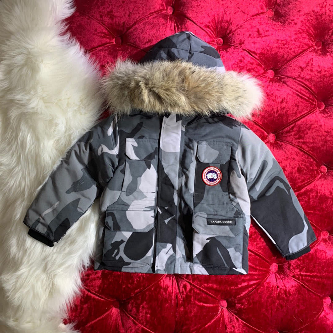 DE240 Canada Goose, photo 1
