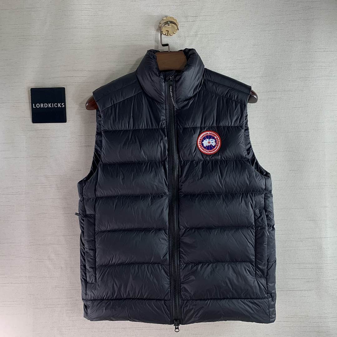 DE180 Canada Goose, photo 1
