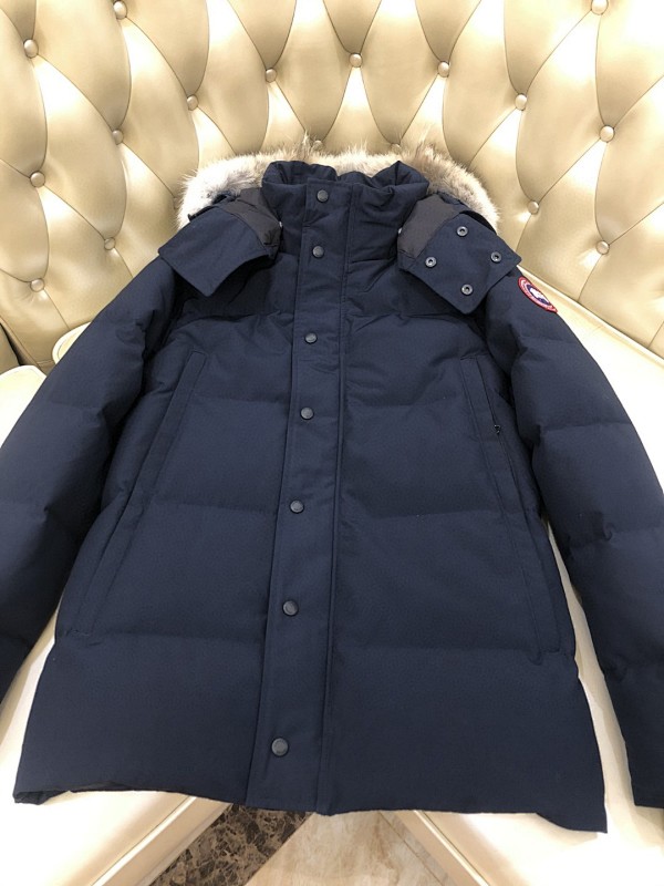 DE141 Canada Goose, photo 1