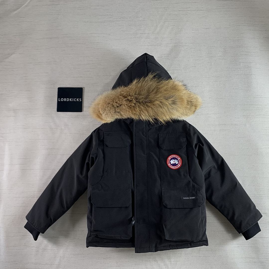 DE266 Canada Goose, photo 1