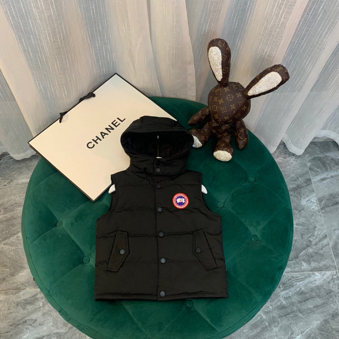 DE242 Canada Goose, photo 1