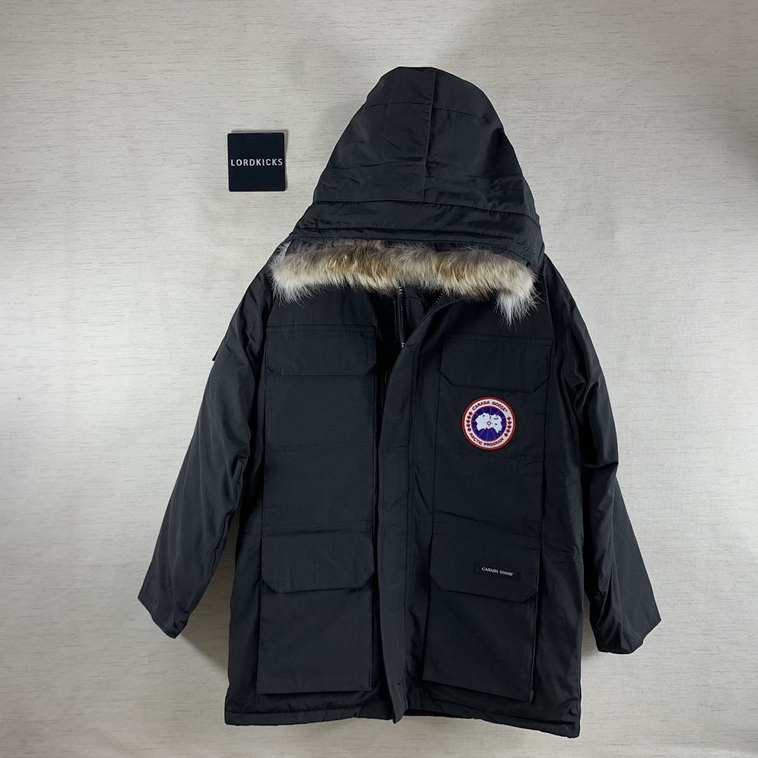 DE206 Canada Goose, photo 1