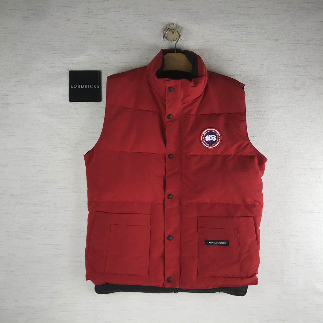 DE13 Canada Goose, photo 1