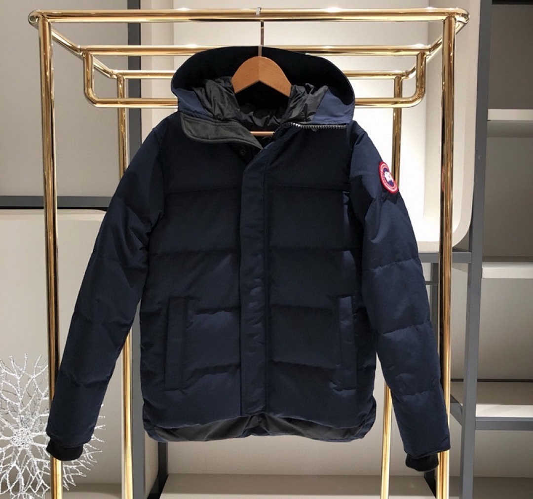 DE129 Canada Goose, photo 1