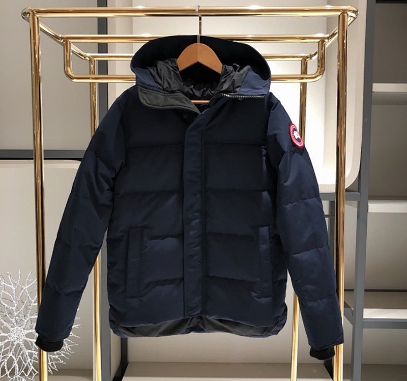 DE129 Canada Goose, photo 1