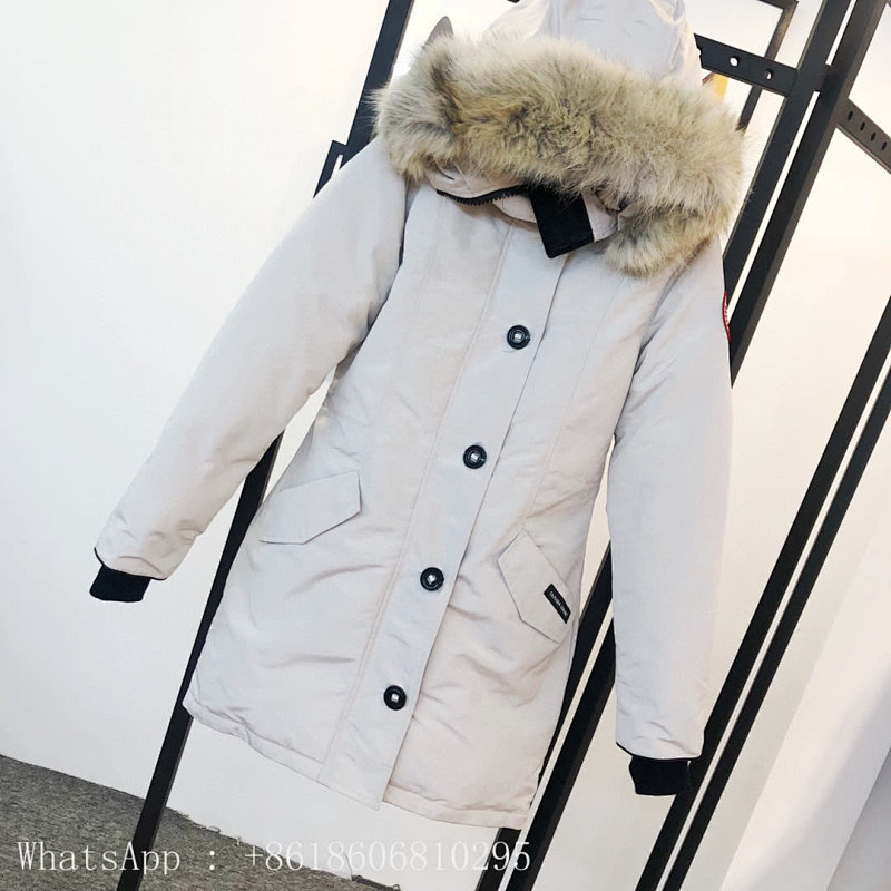 DE115 Canada Goose, photo 1