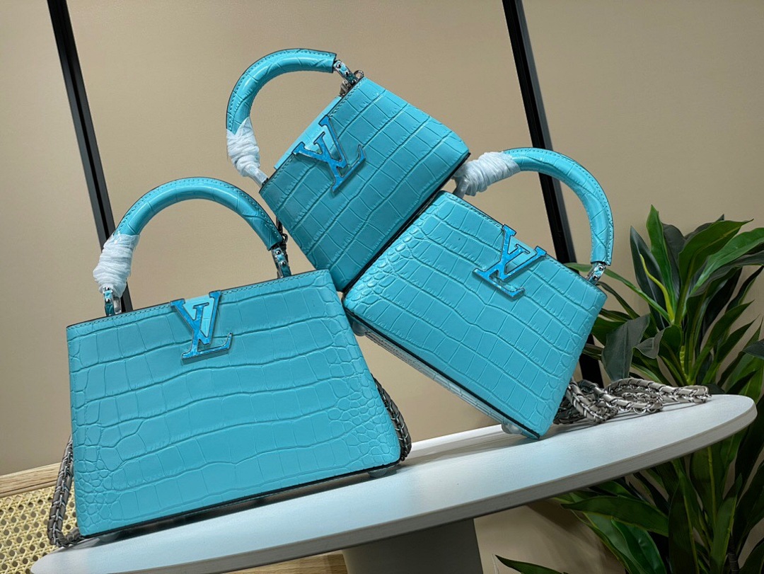 Other Capucines Nano M48865 (Blue), photo 1