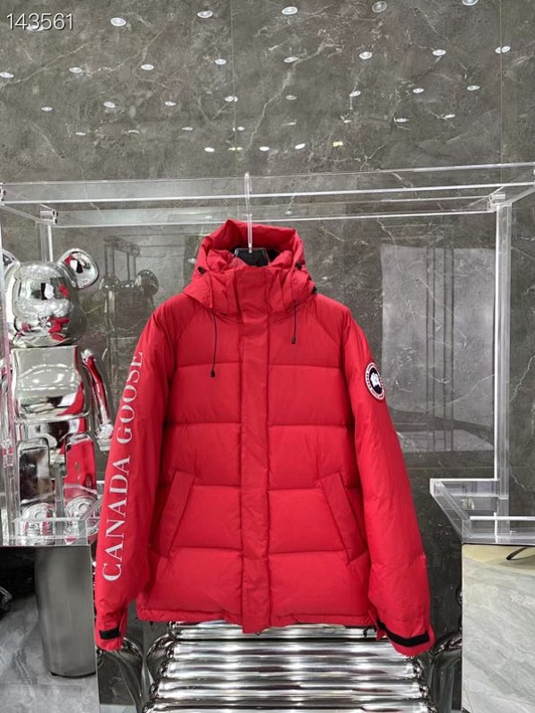 DE211 Canada Goose, photo 1